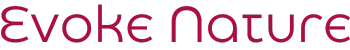 Red Logo Name for Evoke Nature